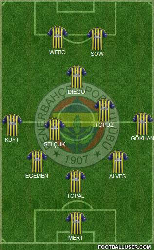 Fenerbahçe SK Formation 2015