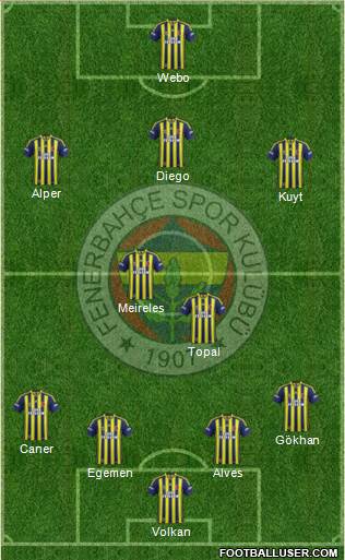 Fenerbahçe SK Formation 2015