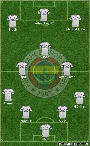 Fenerbahçe SK Formation 2015