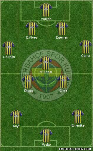 Fenerbahçe SK Formation 2015