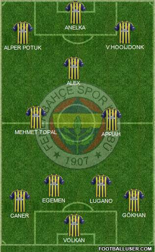 Fenerbahçe SK Formation 2015