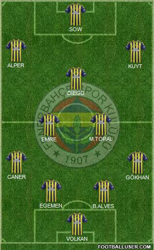 Fenerbahçe SK Formation 2015