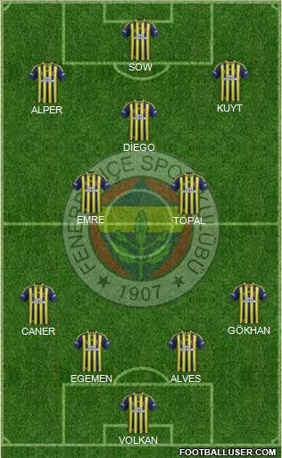 Fenerbahçe SK Formation 2015