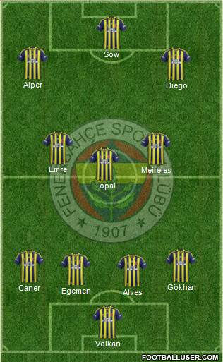 Fenerbahçe SK Formation 2015