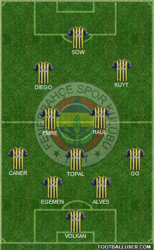 Fenerbahçe SK Formation 2015