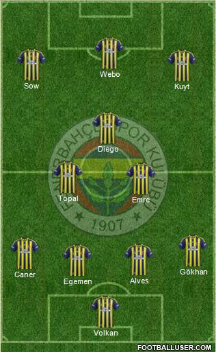 Fenerbahçe SK Formation 2015