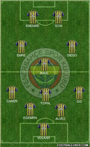Fenerbahçe SK Formation 2015