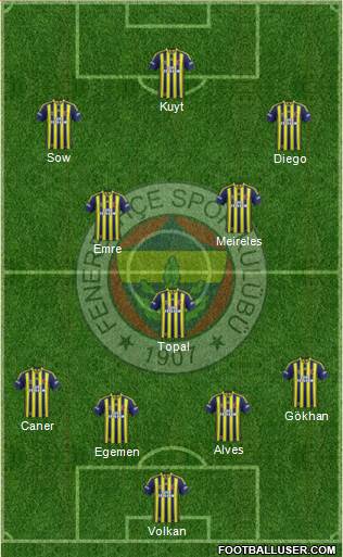 Fenerbahçe SK Formation 2015