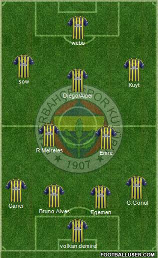 Fenerbahçe SK Formation 2015