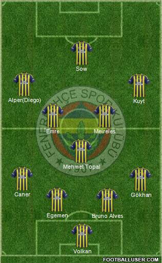 Fenerbahçe SK Formation 2015