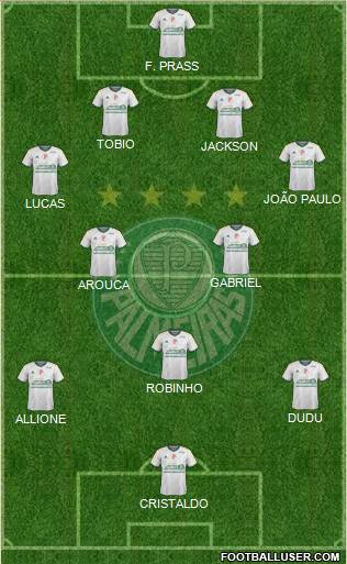 SE Palmeiras Formation 2015