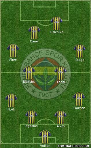 Fenerbahçe SK Formation 2015