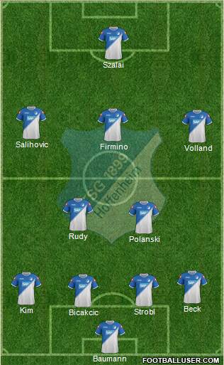TSG 1899 Hoffenheim Formation 2015
