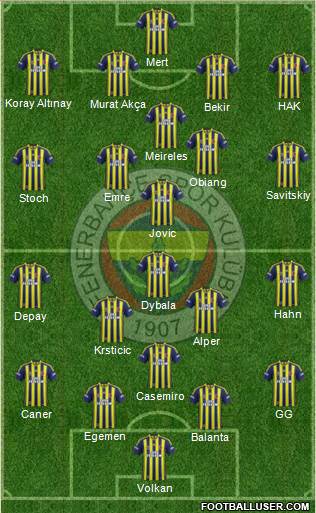 Fenerbahçe SK Formation 2015