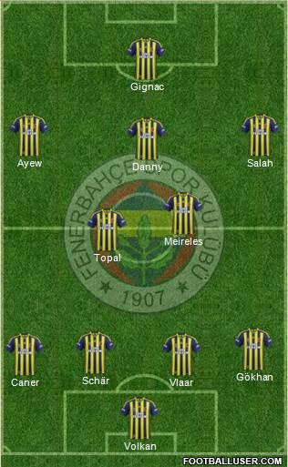 Fenerbahçe SK Formation 2015