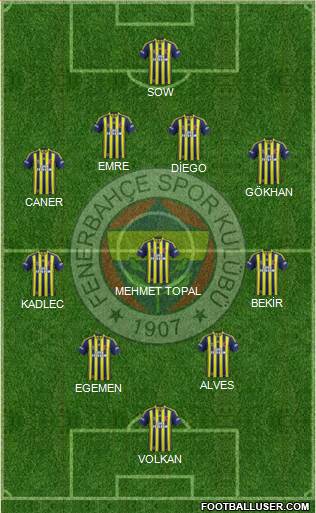 Fenerbahçe SK Formation 2015