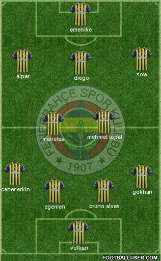 Fenerbahçe SK Formation 2015