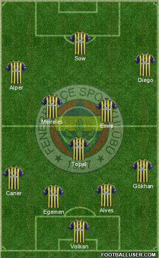 Fenerbahçe SK Formation 2015