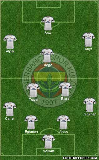 Fenerbahçe SK Formation 2015