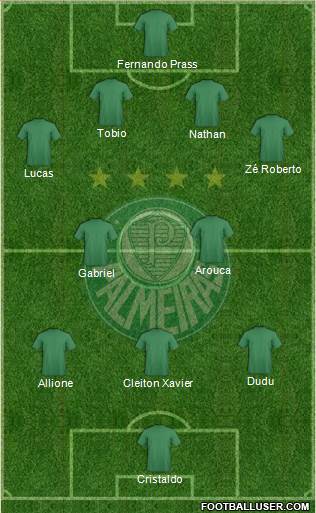 SE Palmeiras Formation 2015