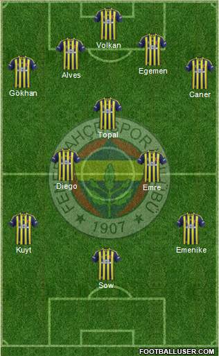 Fenerbahçe SK Formation 2015