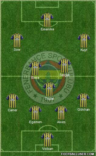 Fenerbahçe SK Formation 2015