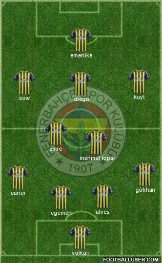 Fenerbahçe SK Formation 2015