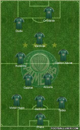 SE Palmeiras Formation 2015