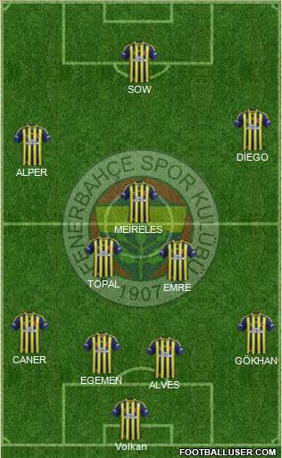 Fenerbahçe SK Formation 2015