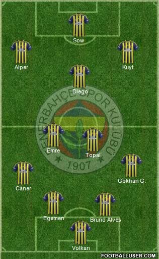 Fenerbahçe SK Formation 2015