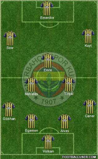 Fenerbahçe SK Formation 2015