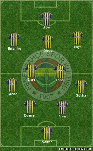 Fenerbahçe SK Formation 2015