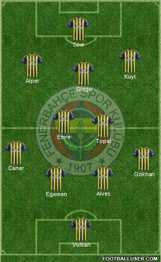 Fenerbahçe SK Formation 2015