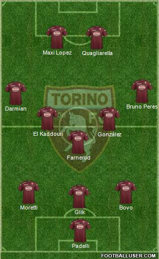 Torino Formation 2015