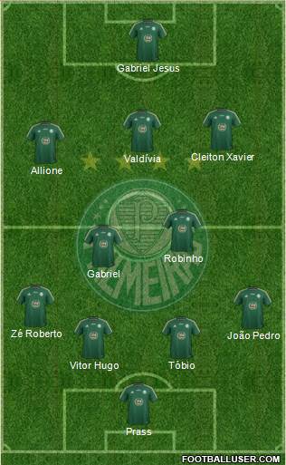 SE Palmeiras Formation 2015