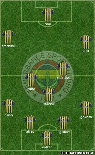 Fenerbahçe SK Formation 2015