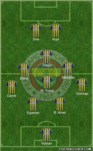 Fenerbahçe SK Formation 2015