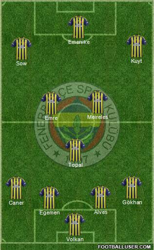 Fenerbahçe SK Formation 2015