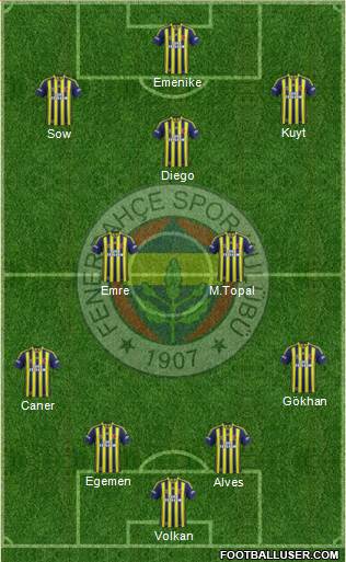 Fenerbahçe SK Formation 2015