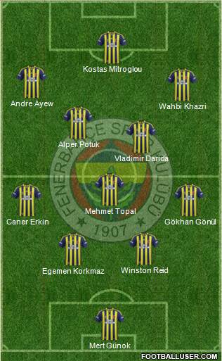 Fenerbahçe SK Formation 2015