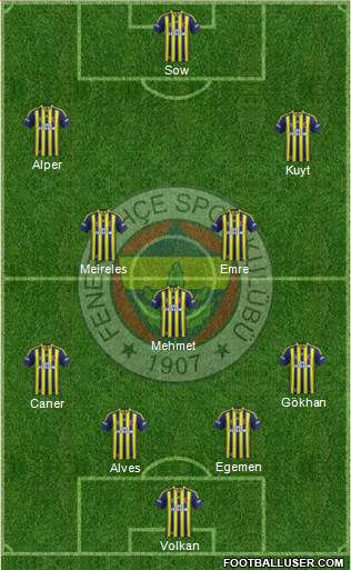Fenerbahçe SK Formation 2015