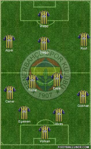 Fenerbahçe SK Formation 2015