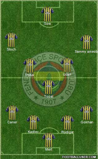Fenerbahçe SK Formation 2015