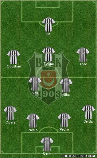Besiktas JK Formation 2015