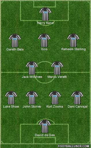 Newcastle United Formation 2015