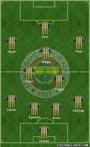 Fenerbahçe SK Formation 2015