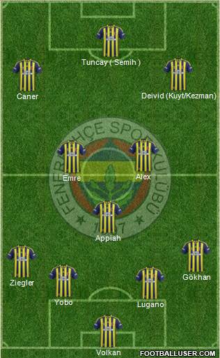 Fenerbahçe SK Formation 2015