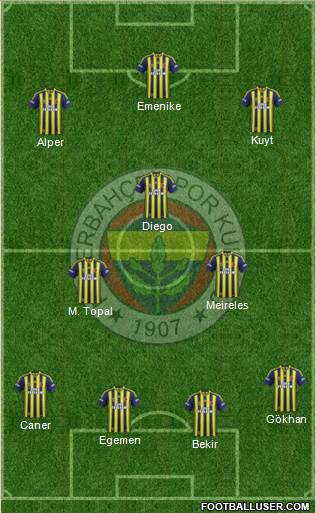 Fenerbahçe SK Formation 2015