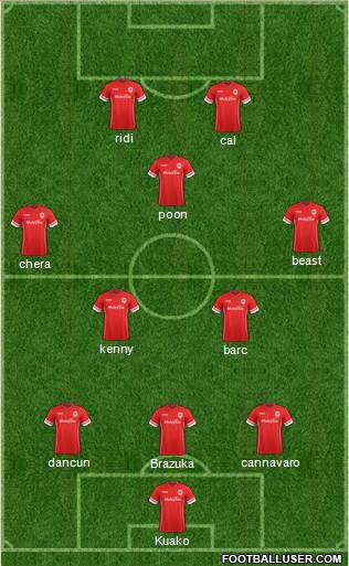 Cardiff City Formation 2015
