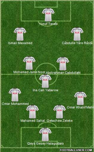 Tottenham Hotspur Formation 2015